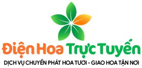 Shop Hoa Tươi Ninh Bình